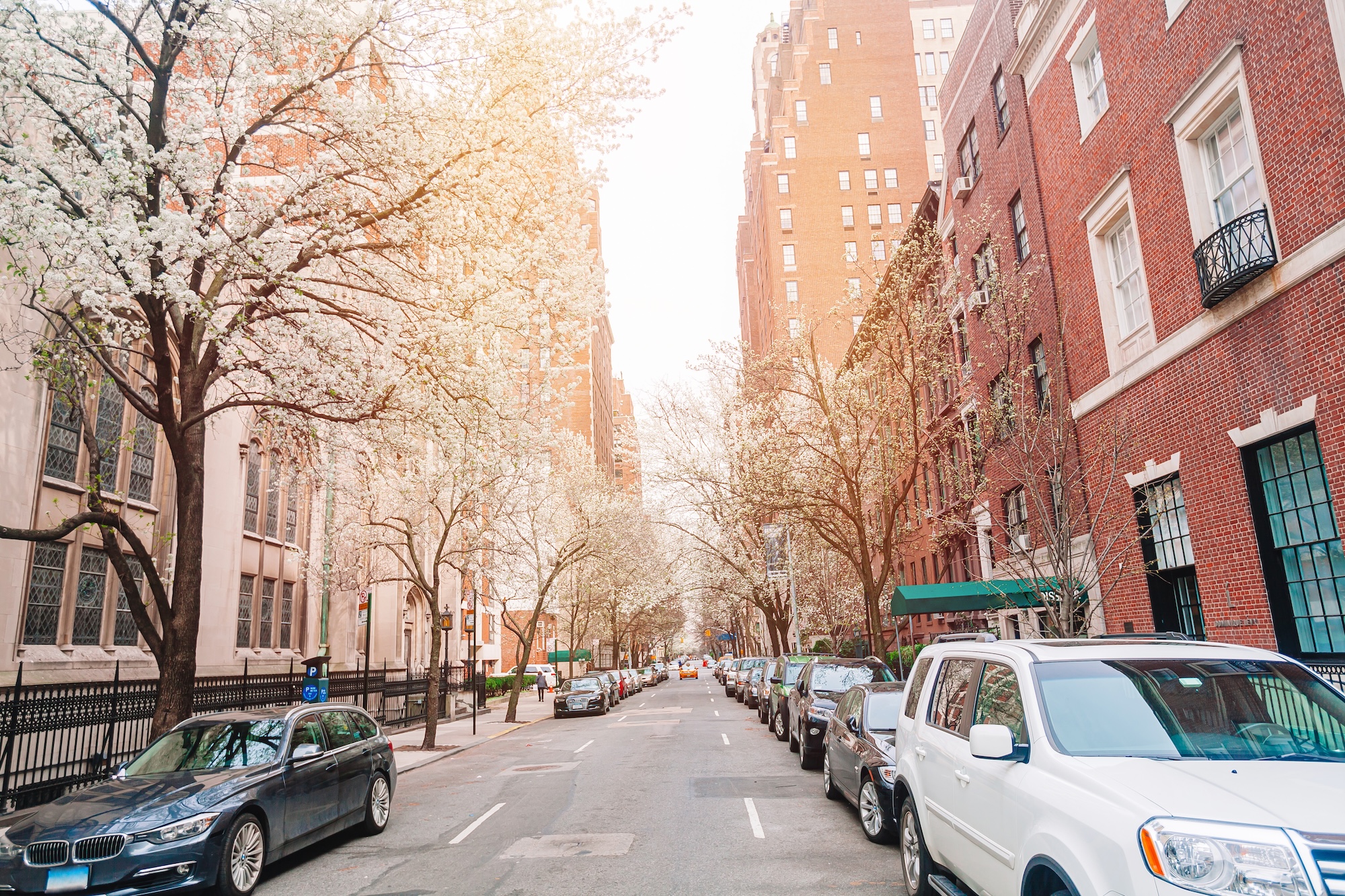 Brownstone with flowers blooming on trees